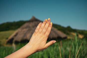Close-Up Photo of a Hand