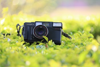 Close-Up Photo of Analog Camera