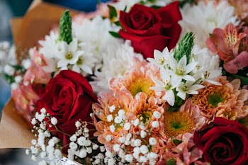 Close-Up Photo of Assorted Flowers