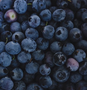 Close-up Photo of Blueberries