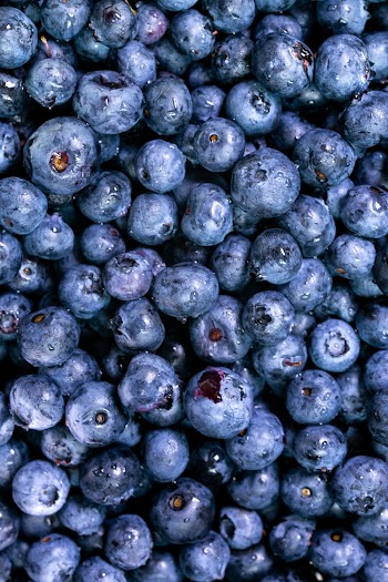 Close-Up Photo of Blueberries