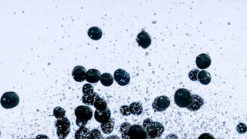 Close-Up Photo of Blueberries in White Background