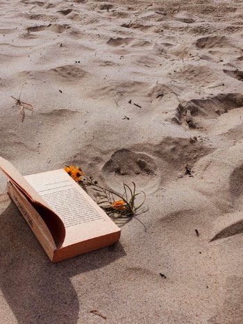 Close-up Photo of Book on Sand  · Free Stock Photo