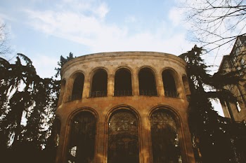 Close Up Photo of Brown Concrete Building