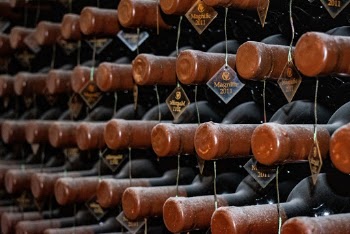 Close-Up Photo of Brown Labeled Bottles