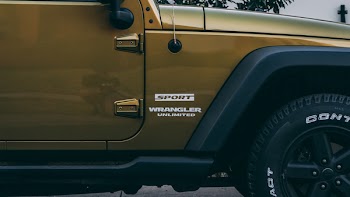 Close-up Photo of Brown Wrangler