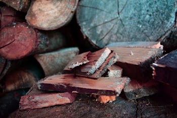 Close-Up Photo of Chopped Woods