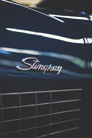 Close-Up Photo of Emblem