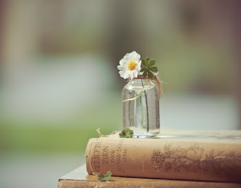 Close-Up Photo of Flower On Bottle
