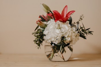 Close-Up Photo of Flowers