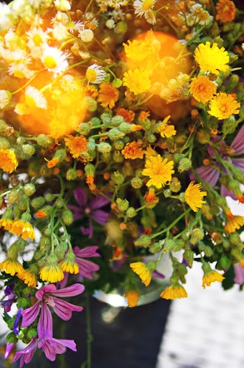 Close-Up Photo of Flowers