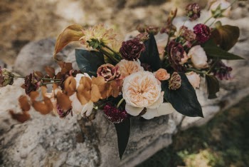 Close-Up Photo of Flowers