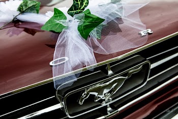 Close-Up Photo Of Ford Mustang Emblem