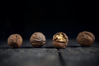 close-up photo of four brown walnuts