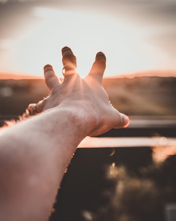 Close-Up Photo of Hand During Sunset
