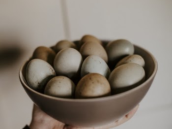 Close-up Photo of Hand Holding a Ceramic Bowl Full of Eggs