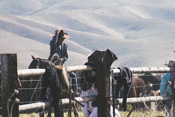 Close-up Photo of Horseman
