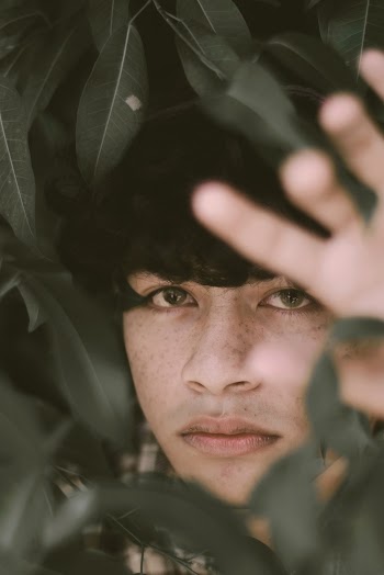 Close-up Photo of Man's Face Behind Green Leafed Plants