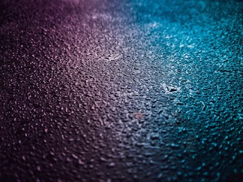 Close-Up Photo of Moisture