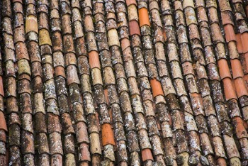 Close-up Photo of Old Roof Tiles