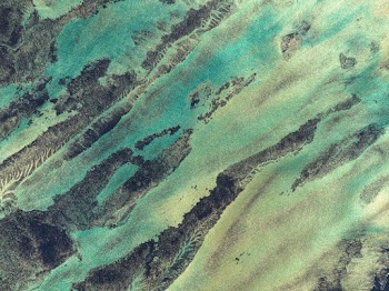 Close-Up Photo Of Painting