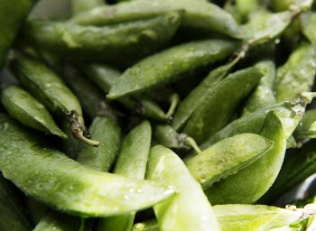 Close-up Photo of Pea Pods