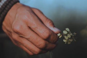 Close-Up Photo of Person's Hand