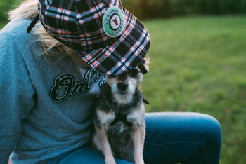 Close-Up Photo of Person Carrying Dog
