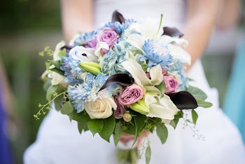 Close-Up Photo of Person Holding Bouquet Of Flowers