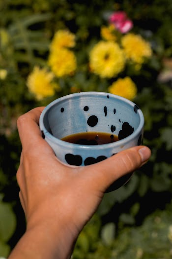 Close-Up Photo of Person Holding Cup
