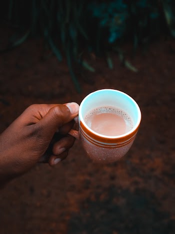Close-Up Photo of Person Holding Cup
