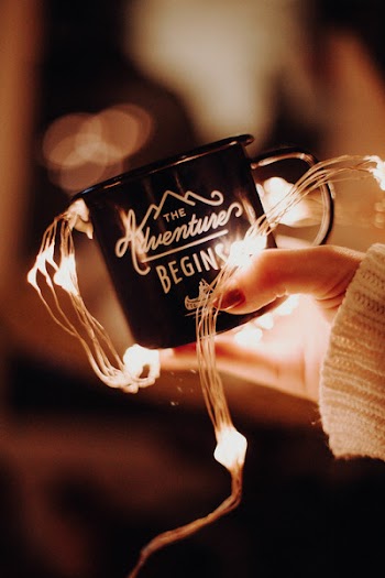 Close-Up Photo of Person Holding Cup