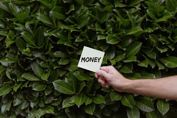 Close-Up Photo of Person Holding Paper Near Leaves