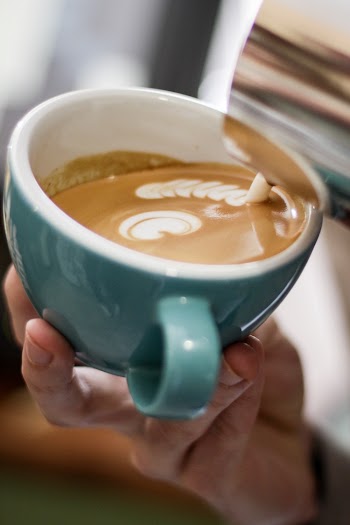 Close-Up Photo of Person Pouring Milk