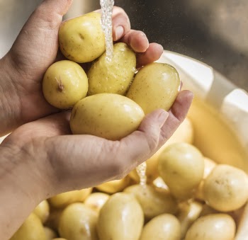 Close-Up Photo of Person Washing Potatoes 