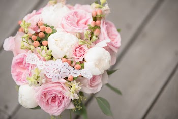 Close-Up Photo of Pink Flowers