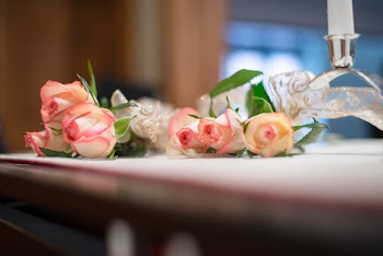 Close-Up Photo of Pink Roses on Table