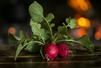 Close-Up Photo of Radishes
