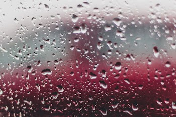 Close-Up Photo of Rain Droplets