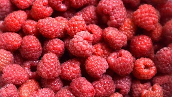Close-Up Photo Of Raspberries