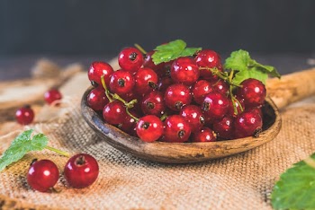 Close-Up Photo of Red Berries