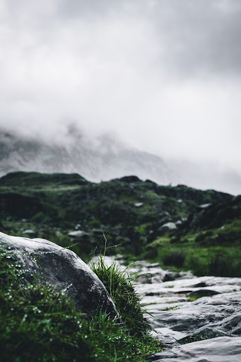 Close-Up Photo of River Between Grasses Under Gray Sky