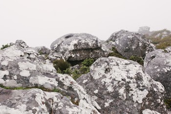 Close-Up Photo Of Rock Formation