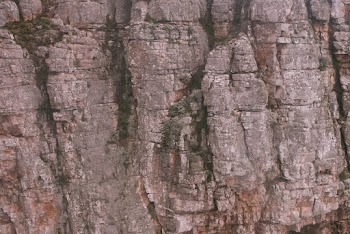 Close-Up Photo Of Rock Formation