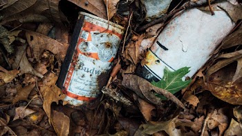 Close-Up Photo of Rusty Budweiser Can