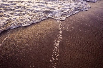Close-up Photo of Seashore