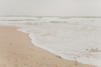 Close-up Photo of Shore