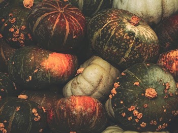 Close-up Photo of Squash