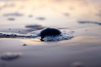close-up photo of stone on seashore