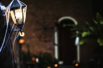 Close-Up Photo of Street Light With Web
